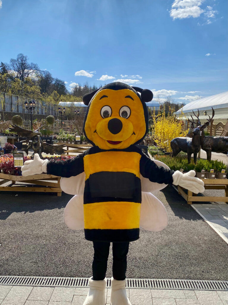 Bee on Board with Simpsons and plant bee friendly plants